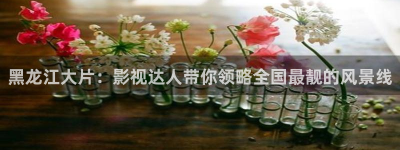 神马达达兔午夜电影