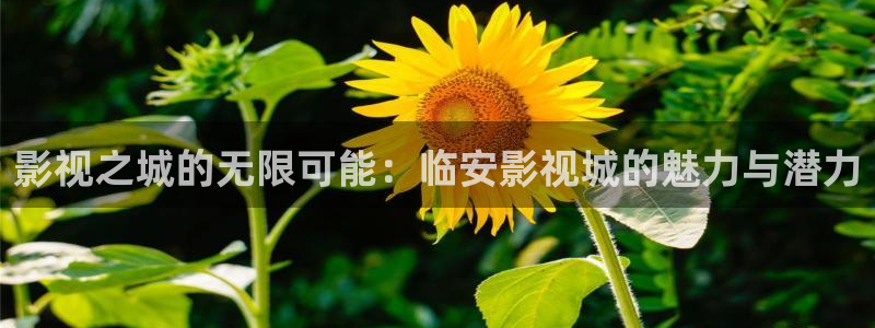 达达兔影院电视免费观看