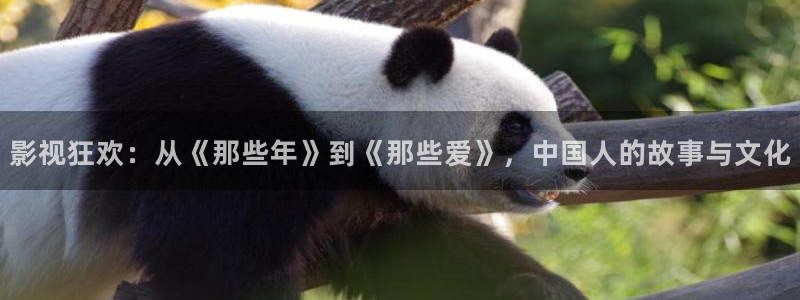 达达兔电视剧影院网