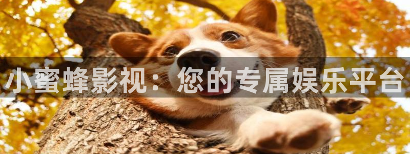 达达兔影视伦理