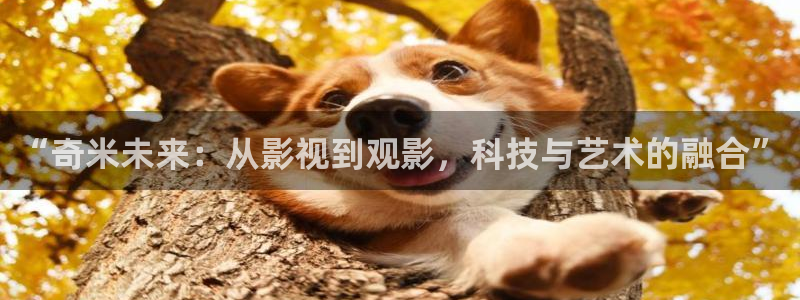 达达兔免费影院